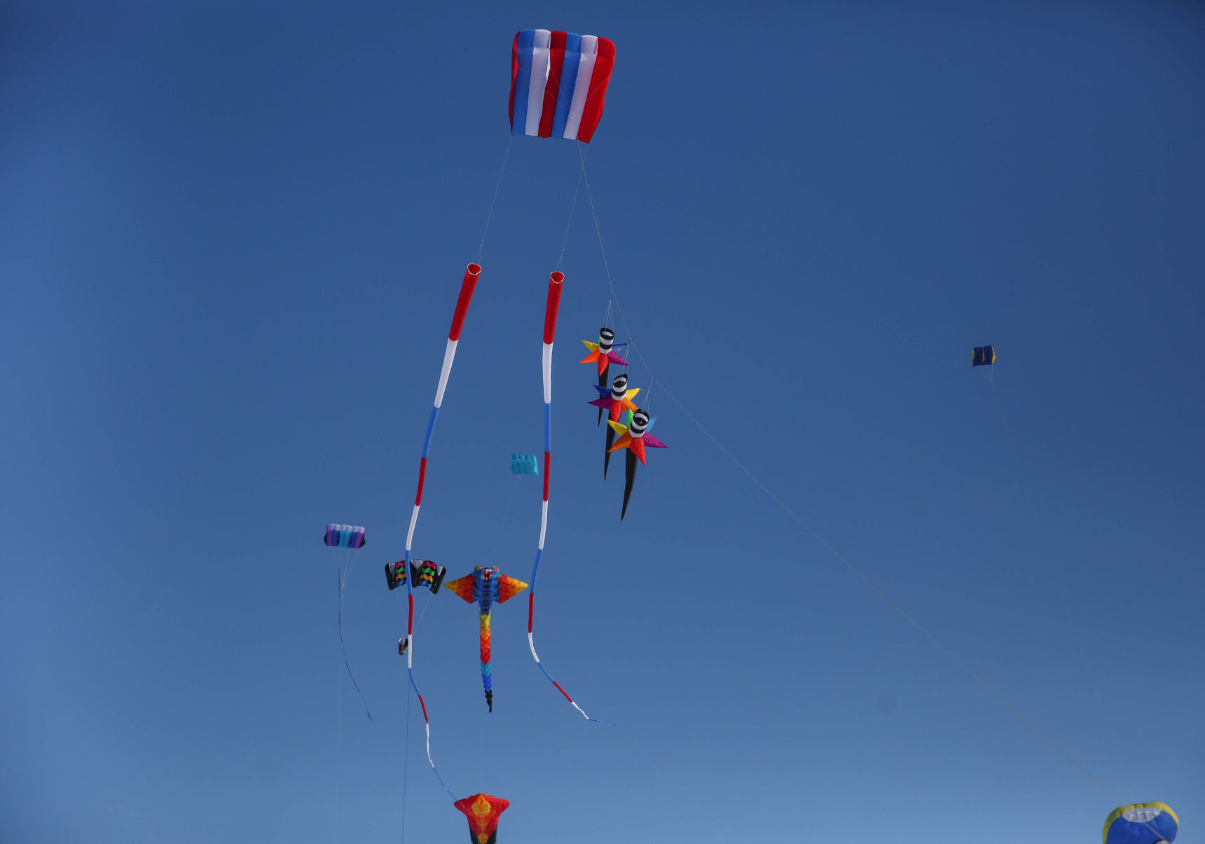 Color the Wind kite festival 02-15-2020 (78).jpg
